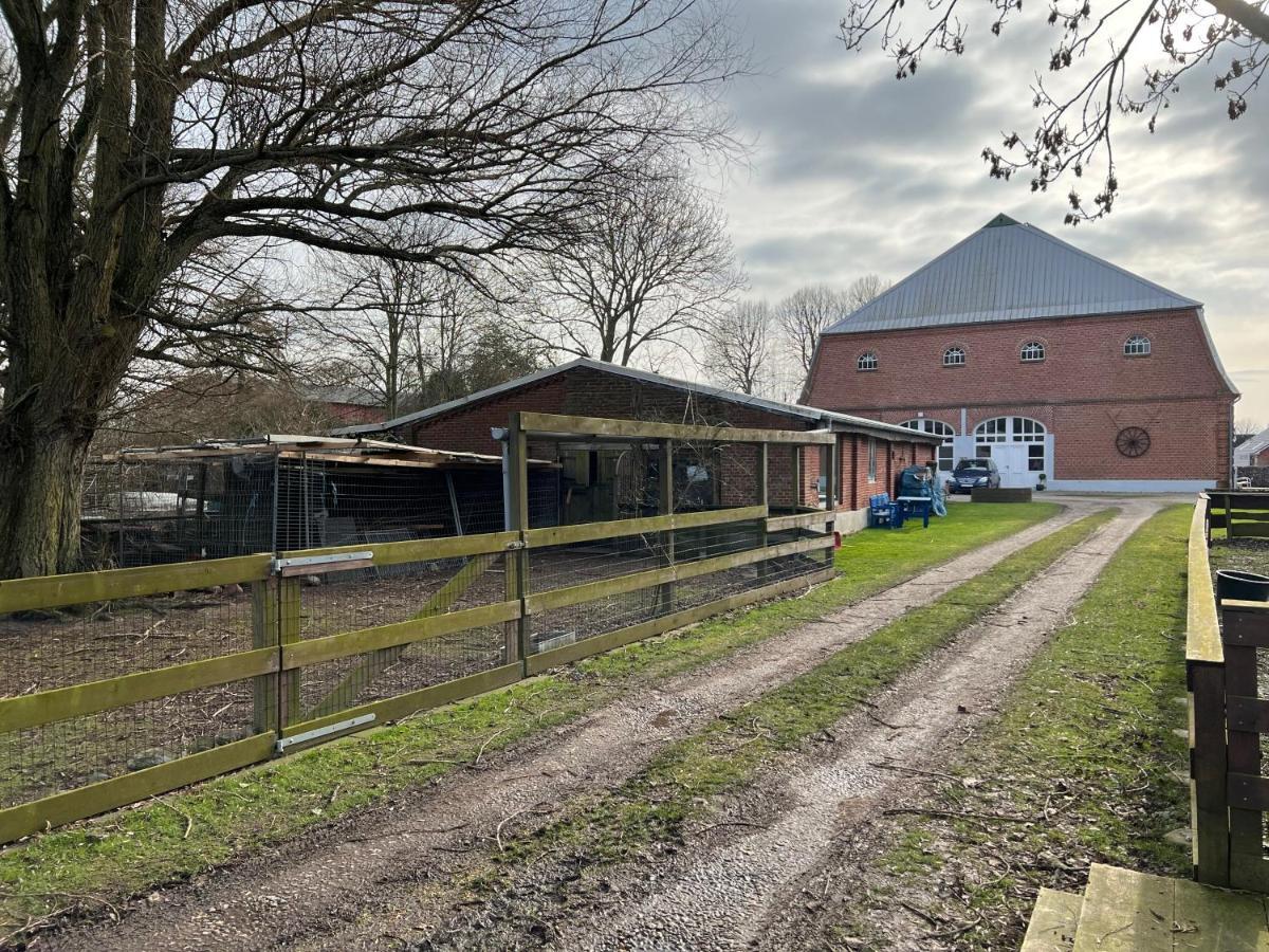 Landlord * Fehmarn